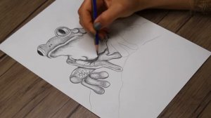 How to Draw a Frog Step by Step | Realistic Frog Drawing Tutorial