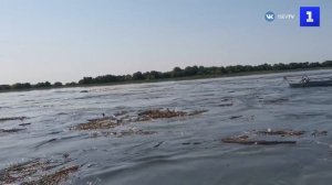 После затопления Новой Каховки по Днепру поплыли дома