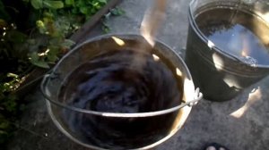 Корневая подкормка винограда после цветения