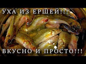 УХА ИЗ ЕРШЕЙ БЕЗ ВКУСА МАРЛИ!!!!!!!!!!!!!!! ГОТОВИМ ПРОСТО И ВКУСНО!!!!!