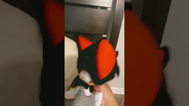 Collab with anyone if you have a sonic plushy