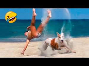 Best Funny Animal Videos 2022  - Funniest Dogs And Cats Videos.mp4