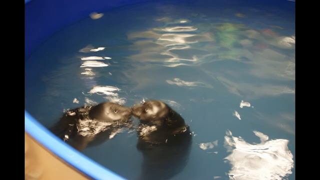 "Водное шоу- байкальской нерпы!" смотреть онлайн