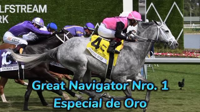 #Hipismo / Orientación Completa para #Conseguir en #GulfstreamPark. смотреть онлайн