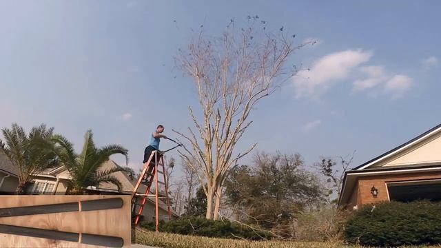 Pruning Overgrown Crepe Myrtle Trees смотреть онлайн