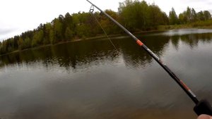 Разловил Deps Balisong 130sp!На забытое мною озеро.