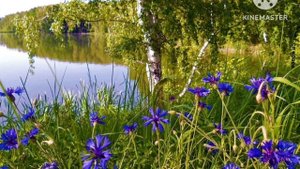 Васильки | Хроматическая калимба | chromatic kalimba cover