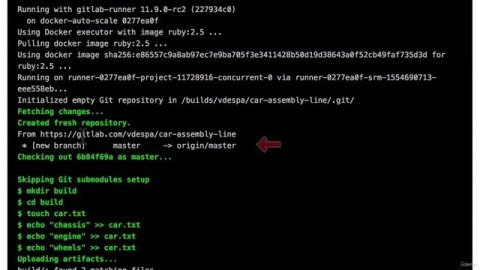 Udemy. Gitlab CI/CD. 02. Gitlab architecture