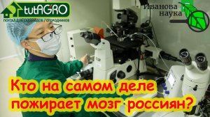 КТО ПОЕДАЕТ МОЗГ РОССИЯН? НТВ пугает амёбой. Но... Ломит суставы, болит тело, давление? Вот почему!