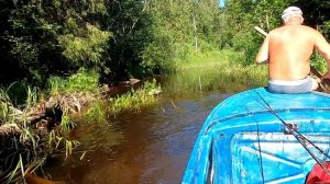 Из Селигера на лодке в озеро Святое и Долгое пройти можно Июль 2021 Жара Рыба не клюет