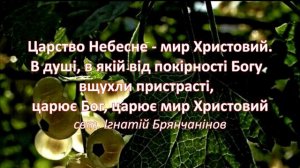 Неділя праотців.Благодатна купель від 29.12.2019