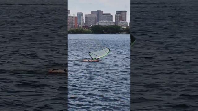 Windsurfing is fun, great exercise and inexpensive!