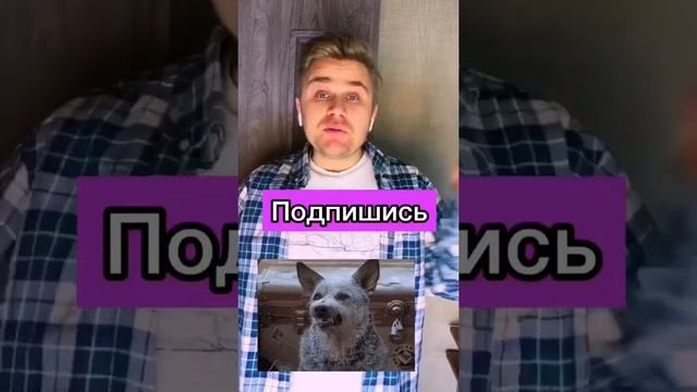 Как списать любое сочинения с нета! #лайфхак #сочинение #школа