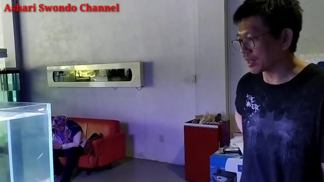 MIXED REEF TANK COMPILATIONS смотреть онлайн