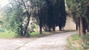 Отдых в Абхазии пансионат Псоу п.Цандрипш август 2018 часть #2