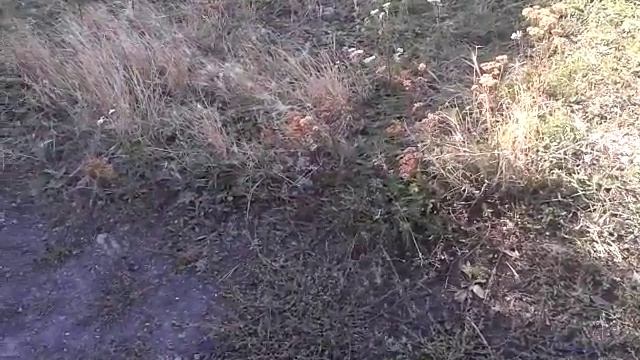 Майнкрафт инструменты смотреть онлайн