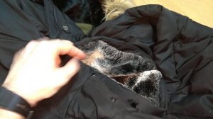 Отзыв куртка vintage industries парка мужская