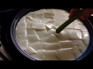Сыр легко сделать дома Фермент для сыра. Закваски.