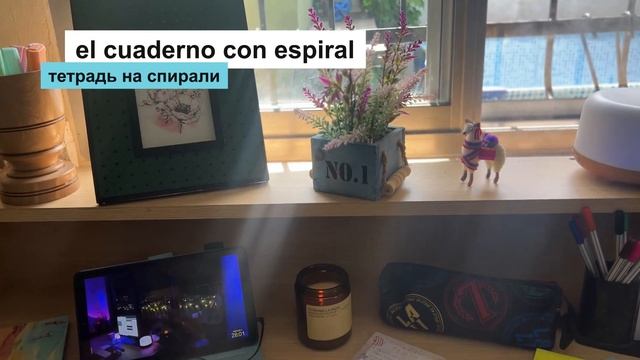 Скоро в школу в Аргентине. Полезная лексика для переезда.