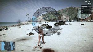 GTA 5 Five Star Cop Battle at Del Perro Beach + Police Chase - GTA V Police Shootout