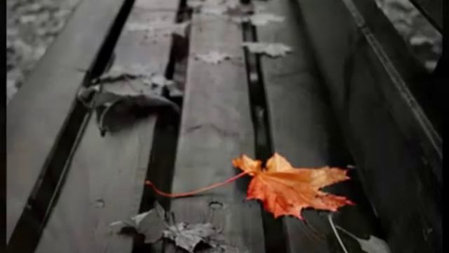 malova a esli смотреть онлайн