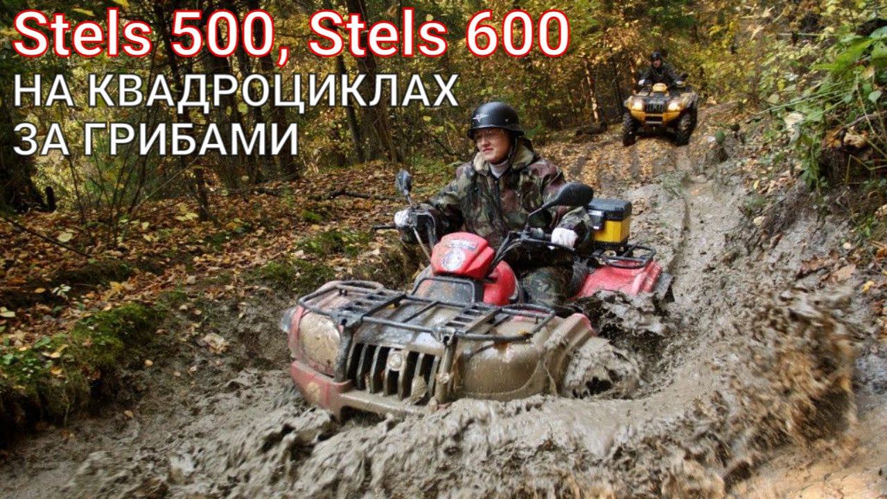 Stels 500 и Stels 600 off road за грибами / Почти ноябрь, собрали 3 корзины