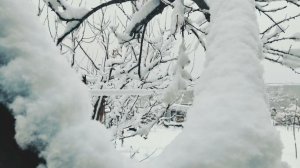 Первый снегопад в ноябре 2021 #shorts