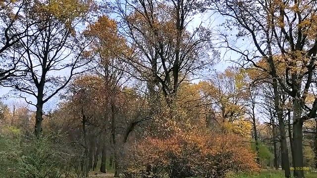 Главный Ботанический Сад Имени Н. В. Цицина Ран 26.10.2023
