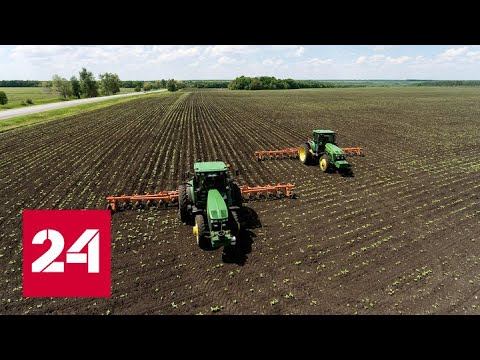 ЕС ищет все возможные пути вывоза зерна с Украины - Россия 24