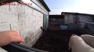 КАК ЖИВУТ ЛЮДИ В ДЕРЕВНЕ КАЗАХСТАНА / @деревня @жизнь в деревне @тренд @урал