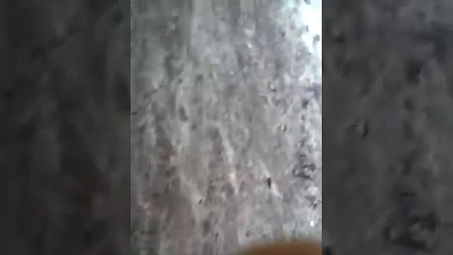 Видео про пешеходную дорожку и болото смотреть онлайн