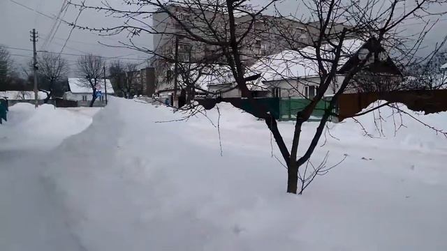 Сугробы все выше. Волки в городе. 14.02.2021 The drifts are getting higher. Wolves in the city. смотреть онлайн