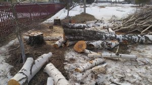 Новополянье! Спил деревьев!!! Работа профессионалов!!!