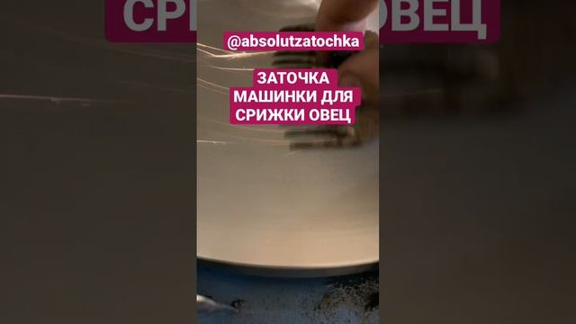 Заточка машинки для стрижки овец, профессионально.