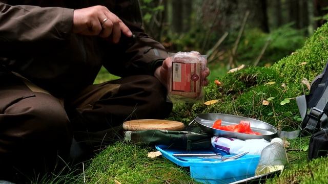 Поход в лес,море брусники в лесу,осенний ПВД. смотреть онлайн