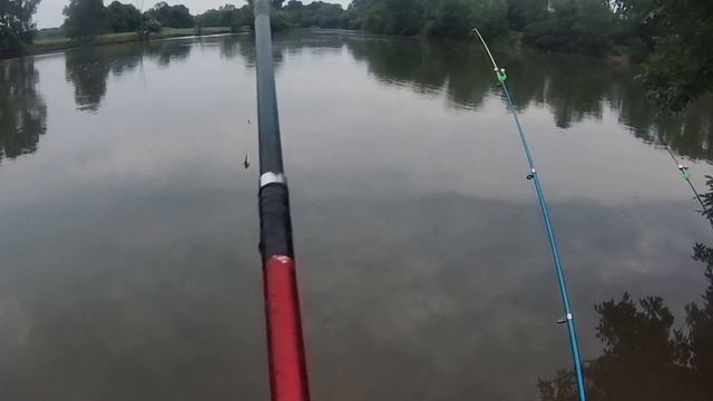 САЗАН РАДУЕТ ПОКЛЁВКАМИ! Ловля САЗАНА на КУКУРУЗУ. смотреть онлайн