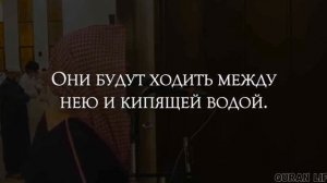 Сура Ар-Рахман. Мухаммад Аль Люхайдан. #коран #люхайдан