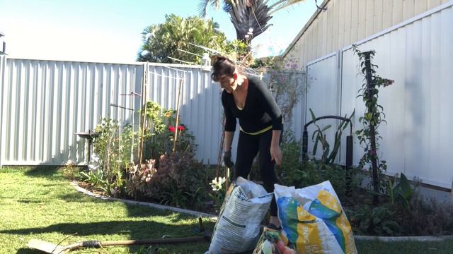 Planting rose cutting for arch. Zaszczepka róży na arch - 417 смотреть онлайн