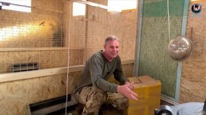 Брудер. Переводим цыплят из брудера в вольер. Советы начинающим.