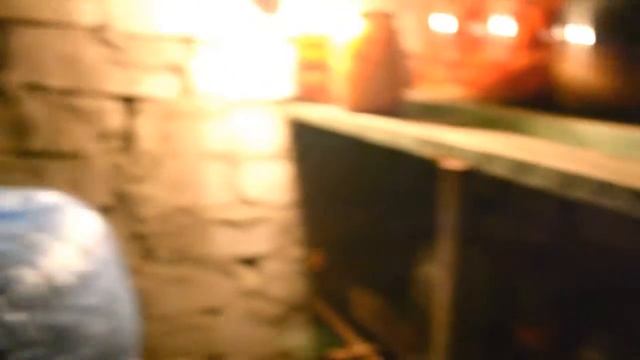 Выращивание грибов вешенки в подвале, первые примордии.