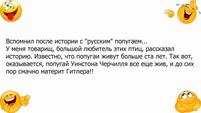 Анекдот про попугая Уинстона Черчилля смотреть онлайн