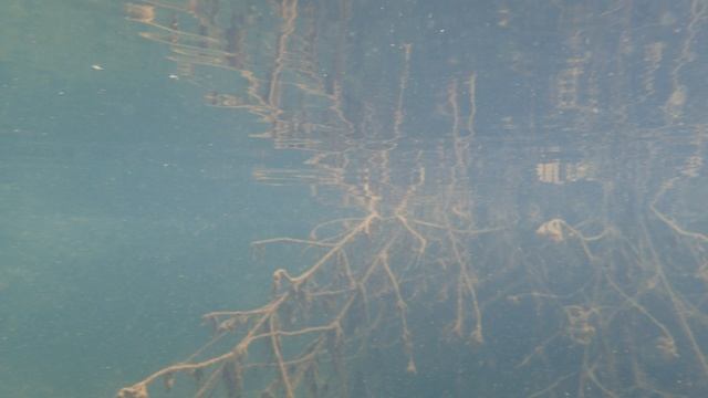 Крым окрестности Монастыря Шулдан смотреть онлайн