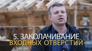 Как правильно строить дом из сруба? / Ошибки строительства дома из бревна