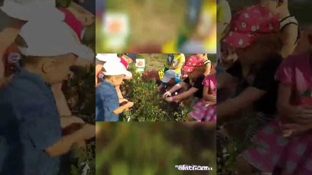 Осенний урожай смотреть онлайн