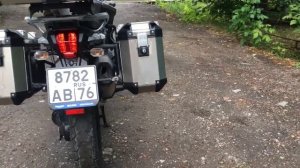 Триумф Тайгер