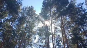 Турбаза Браславские озера, Браслав, Беларусь.Песочек, Теплая вода и безразмерный и безопасный пляж