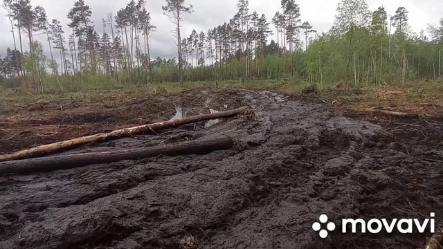 пошли дожди пошла грязь смотреть онлайн