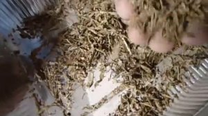 Нарезка махорки!