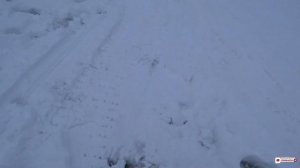 Интересная рыбалка. Налим на стук.