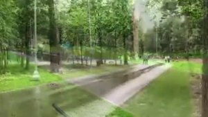 Беговые лыжи